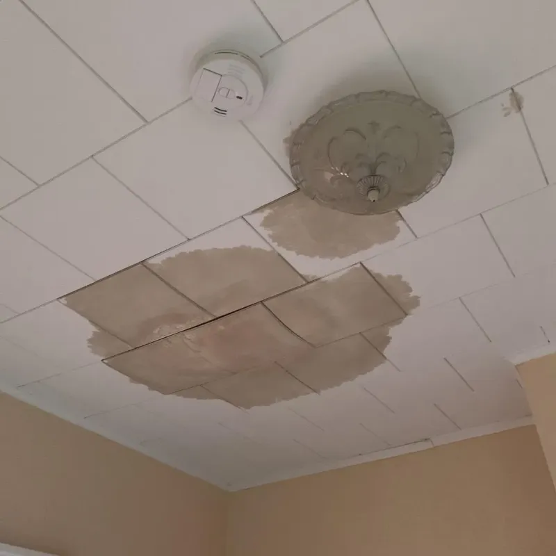 Ceiling Water Damage Repair in West Raleigh, NC