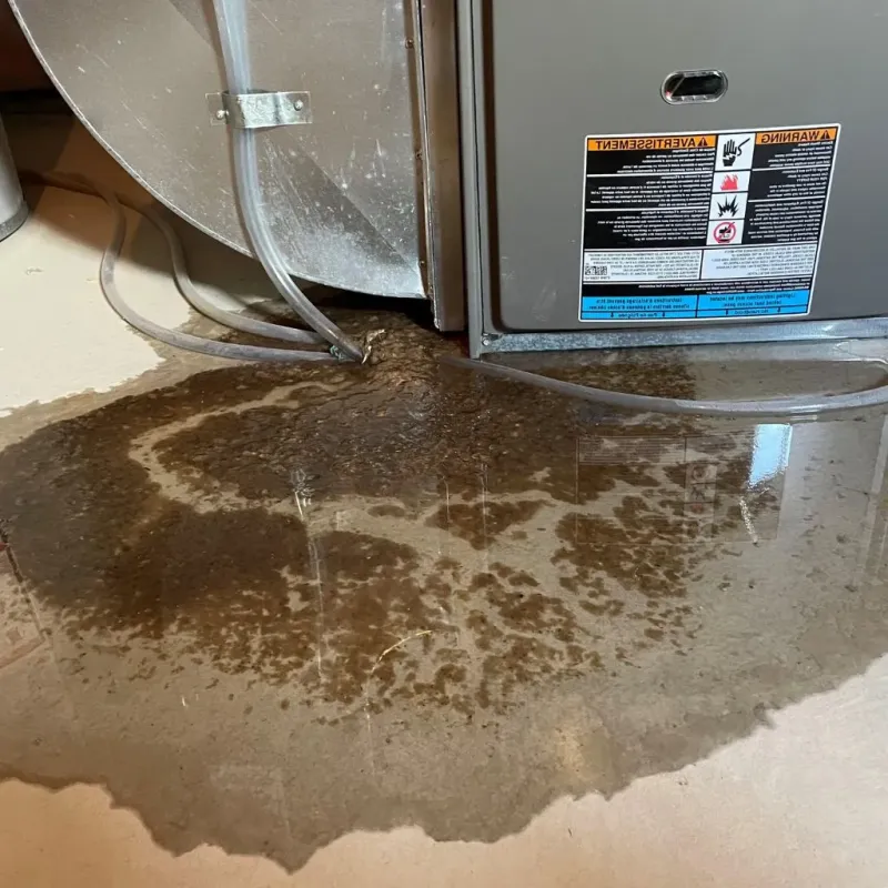 Pipe Burst and Leak Restoration in West Raleigh, NC